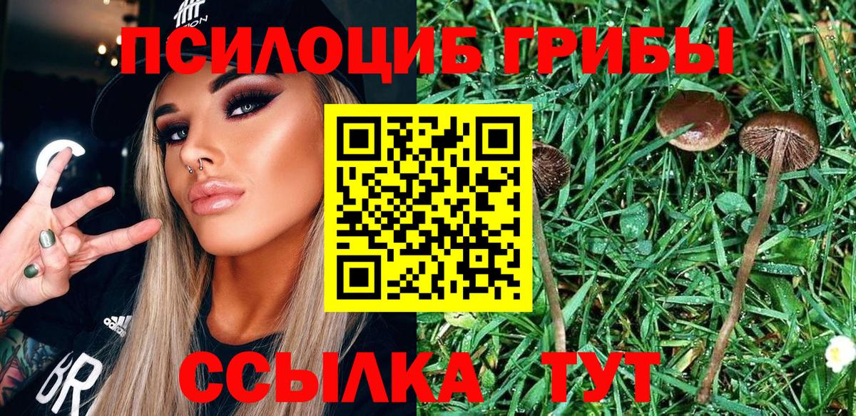 Псилоцибиновые грибы Magic Shrooms Городец