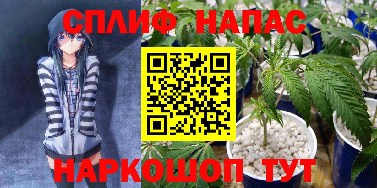 Городец  Бошки Шишки THC 21%  Вход с VPN  Шишки марихуана семена 